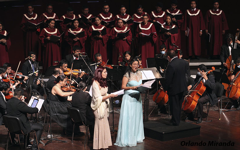CAMERATA